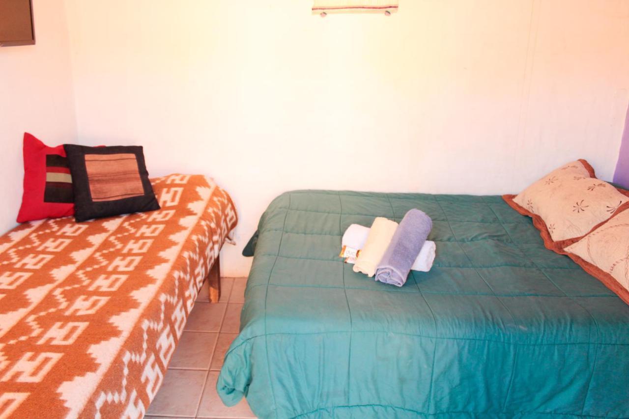 Tierra Andina Hostel ティルカラ エクステリア 写真