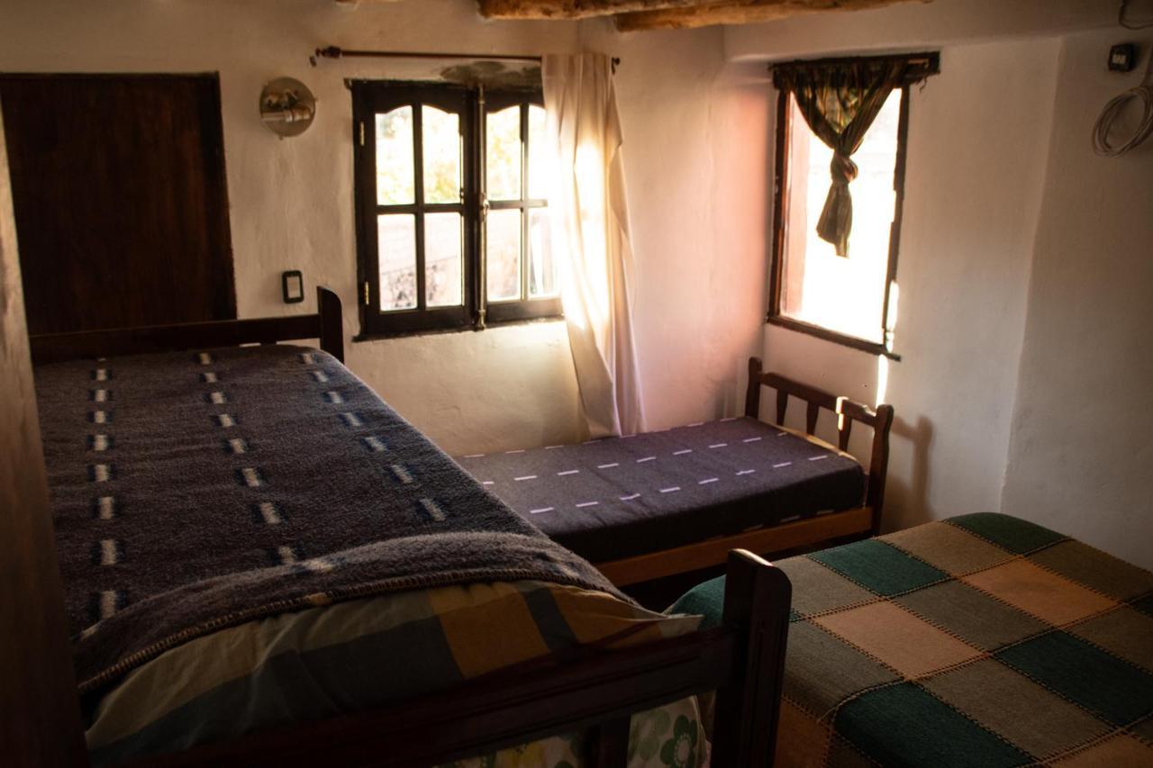 Tierra Andina Hostel ティルカラ エクステリア 写真