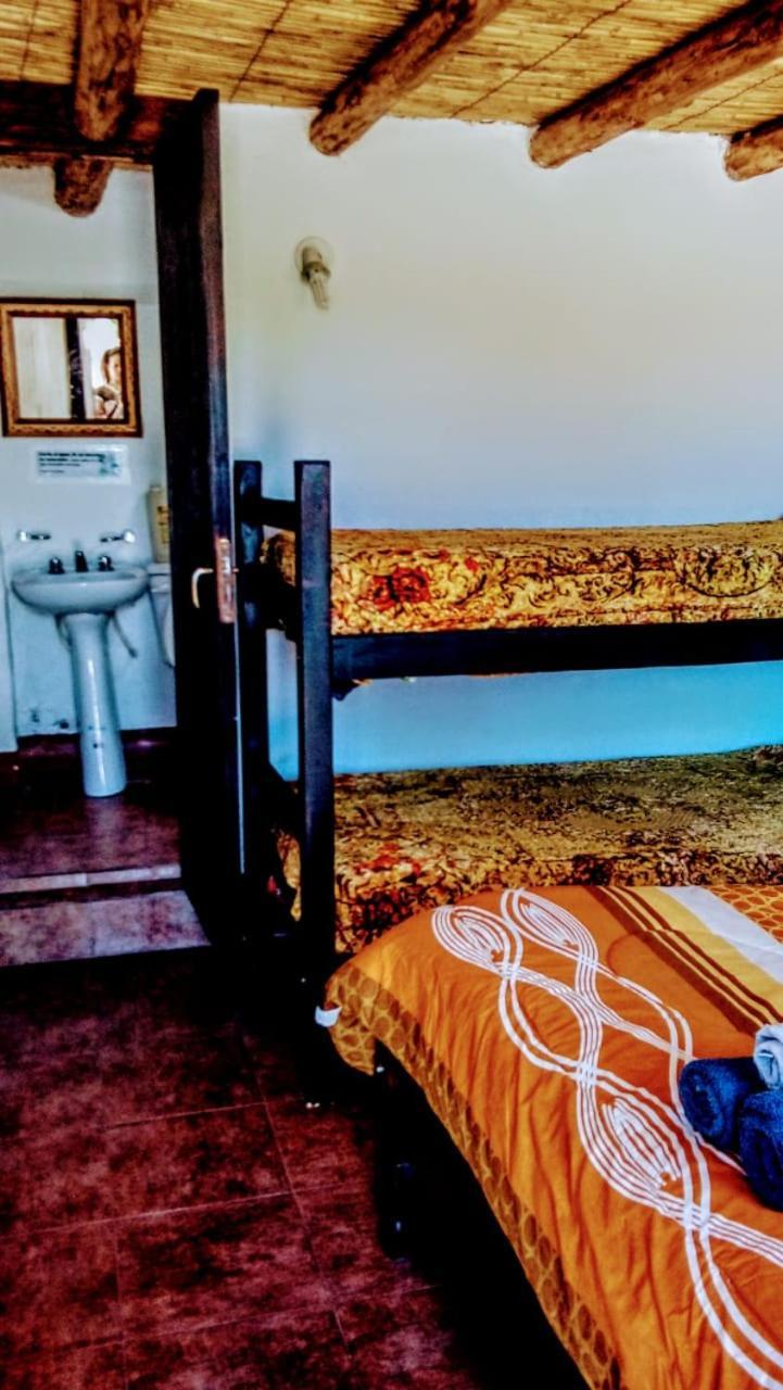 Tierra Andina Hostel ティルカラ エクステリア 写真
