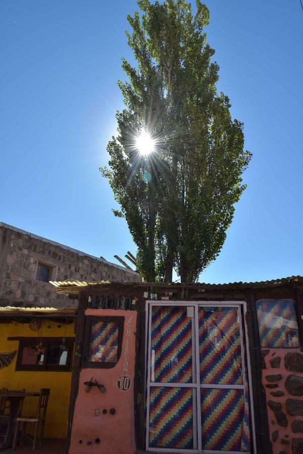 Tierra Andina Hostel ティルカラ エクステリア 写真
